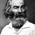 Walt Whitman (1819 – 1892) : Descendance d'Adam / Children of Adam