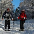 Toulousains en Vercors