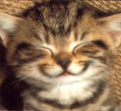 Me suis mise au sport !!