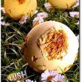 Ibiza Party chez Lush Strasbourg !