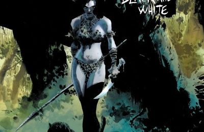 Akileos : Tim Sale Black & white artbook
