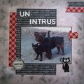 Un intrus