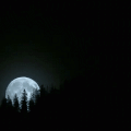 Simple Rituel de Pleine Lune!