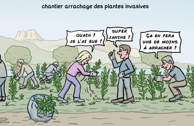 Attention, plantes invasives !