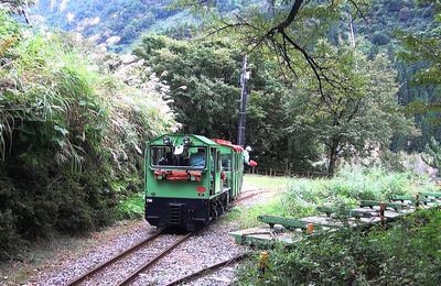 38 rebroussements dans la forêt de TateyamaTateyama Sabō Erosion Control Works Service Train