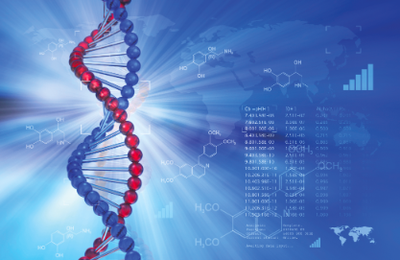La Commission européenne autorise la mise sur le marché de onze produits issus d'OGM