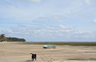 31/07/16 : Poursuite des vacances de printemps : Arès # 1 ( Gironde)