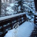 La neige s'est posée tout doucement dans la  nuit