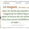 👨‍🌾Le muguet: Son Histoire par paysagiste pays basque et Landes.