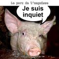 Le porc de l'angoisse