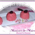 Mousses de mûres