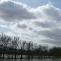 2 arbres aux feuilles rousses et banc de sable