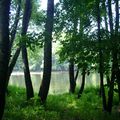 Se rafraîchir au bord de la Dordogne à St-Julien de Lampon.