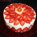 Fraisier 