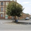 Rond-point à Nègrepelisse