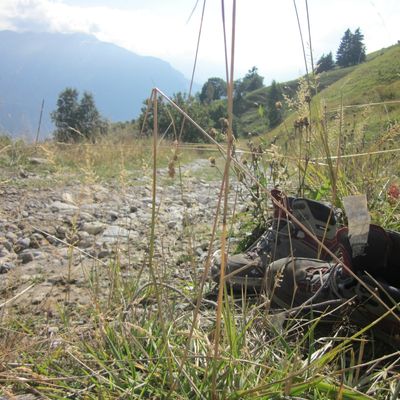 WWoofing : Programme