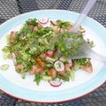 Salade FATOUSH
