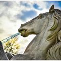 Le cheval fontaine du Puy du Fou