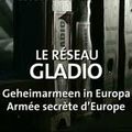 Réseaux pédophiles d'élite (partie III): En Belgique, Gladio tirait les ficelles du réseau