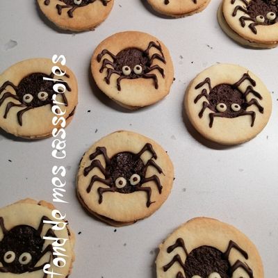 Lunettes spider