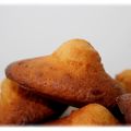 Madeleines Airfryer