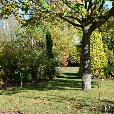 C'est triste un automne qui arrive trop tôt...