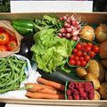 aujourd'hui vendredi  2 mai 1er panier  de légumes de la nouvelle saison de légumes