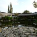 Jardin japonnais sur l'île de Versailles à Nantes