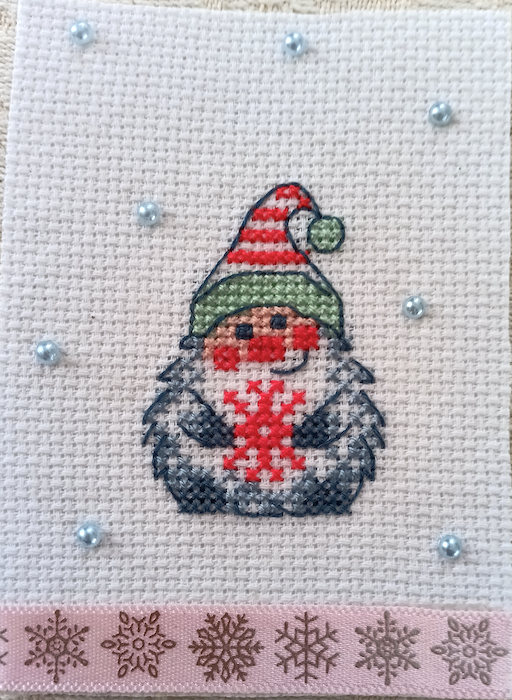 2025-02-Gnome en hiver-Sophie P. pour Chris Brode