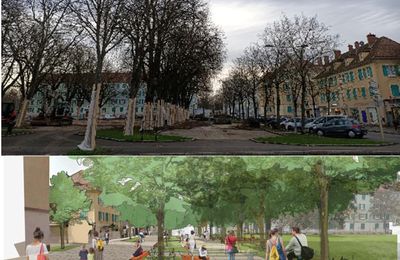 Quartier Drouot - Place Hauger début des travaux...