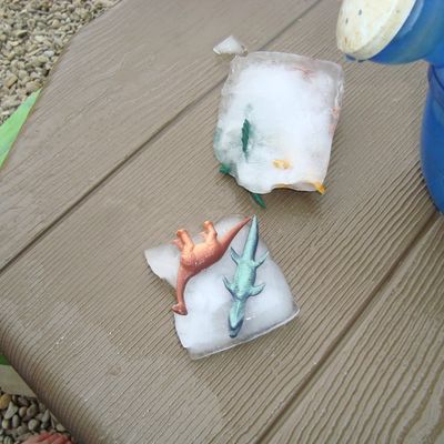 Libérons les dinos !!!