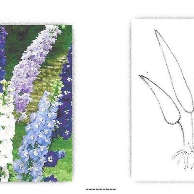 Il giardino di Lorna Bateman – 12a puntata