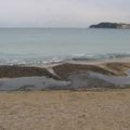 La grande toilette des plages de Sanary