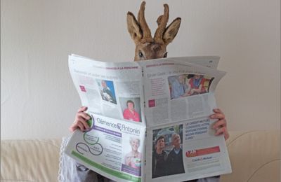 Chevreuil news