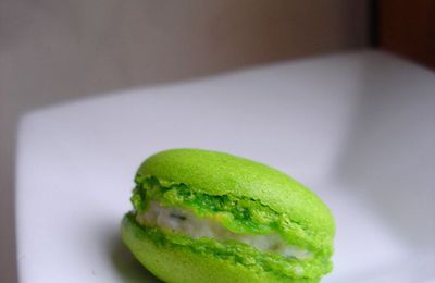 °macarons salé°°°macaron chèvre & macaron sardines & citron confit°