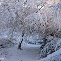 La neige a neigé