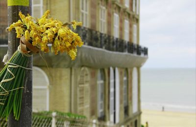 Atout Crin+le balcon de Marguerite