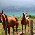 ...Une perle d'émeraude en Savoie...