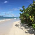 Notre séjour sur Praslin se termine, direction La Digue pour 3 jours