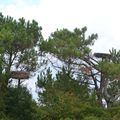 Parc ornithologique du Teich, Gironde