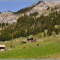 Col des Aravis 2