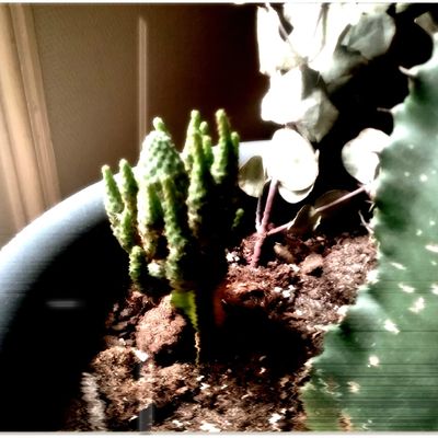 . Les Pluies Sur Mai