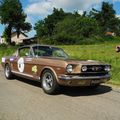 rallye des princesses VH 42 2015  CH 18  DTR 10  N° 36