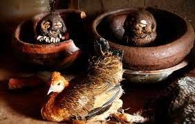 MARABOUT EFFICACE: MARABOUT PAS CHER ET EFFICACE