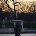 Fin de journée au bassin du jardin du Luxembourg