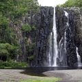 Tous à la Réunion en location de vacances