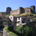 Un des plus beaux villages de France Brousse le Château dans l'Aveyron.