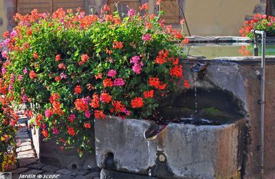 Dans les rues fleuries de Pfaffenheim en Alsace