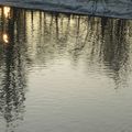 reflets du soir sur la rivière