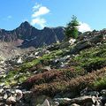 Coup de coeur pour un reportage sur mes montagnes du Mercantour